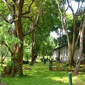 Sigiri Uyana Sigiriya